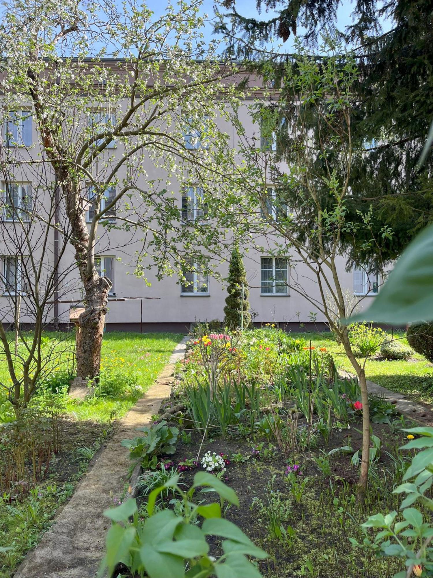 Greenthumb Praska Krakov Exteriér fotografie