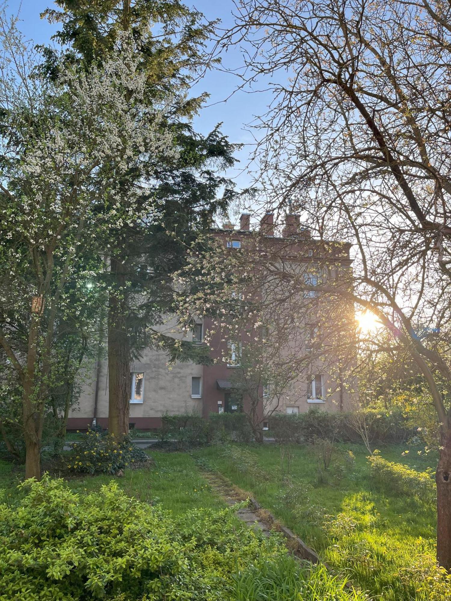 Greenthumb Praska Krakov Exteriér fotografie