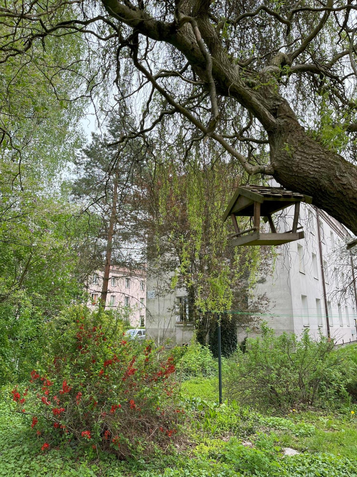Greenthumb Praska Krakov Exteriér fotografie