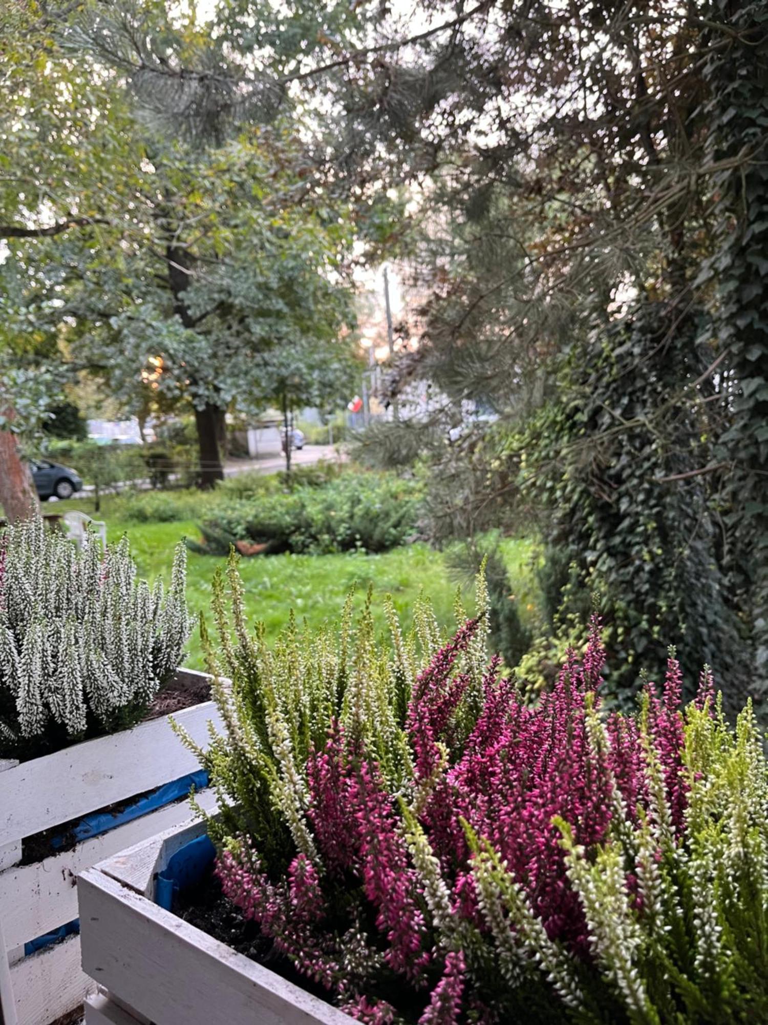 Greenthumb Praska Krakov Exteriér fotografie