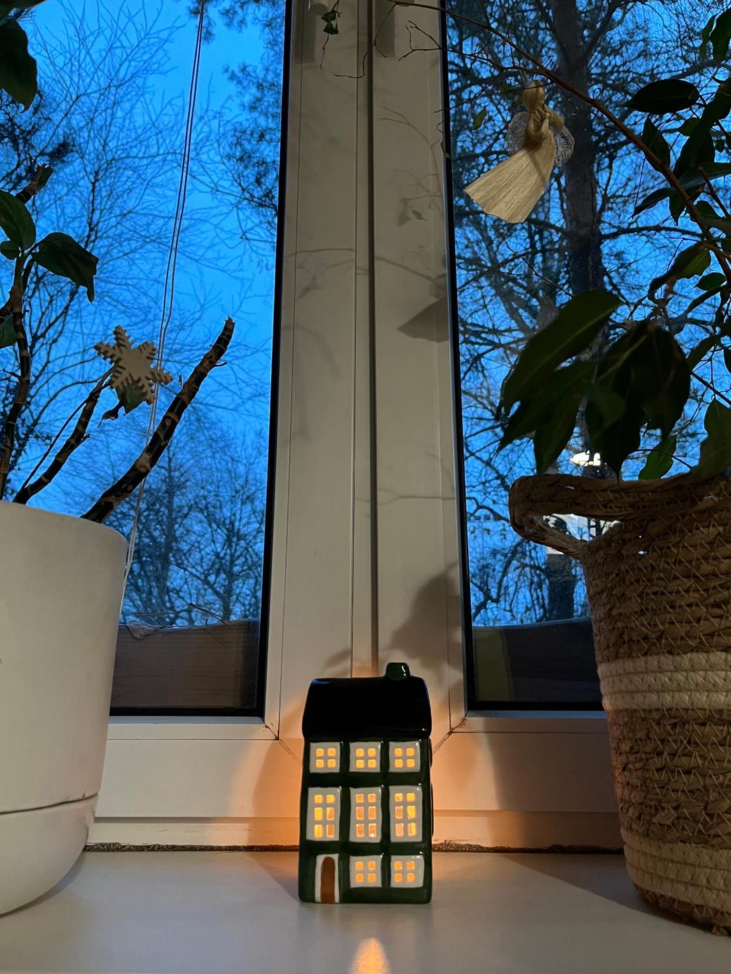 Greenthumb Praska Krakov Exteriér fotografie